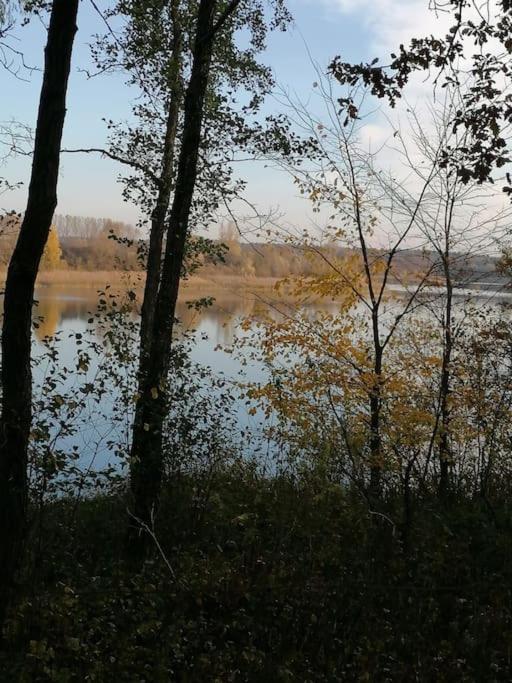 Swietna Chatka Swietne Bagian luar foto